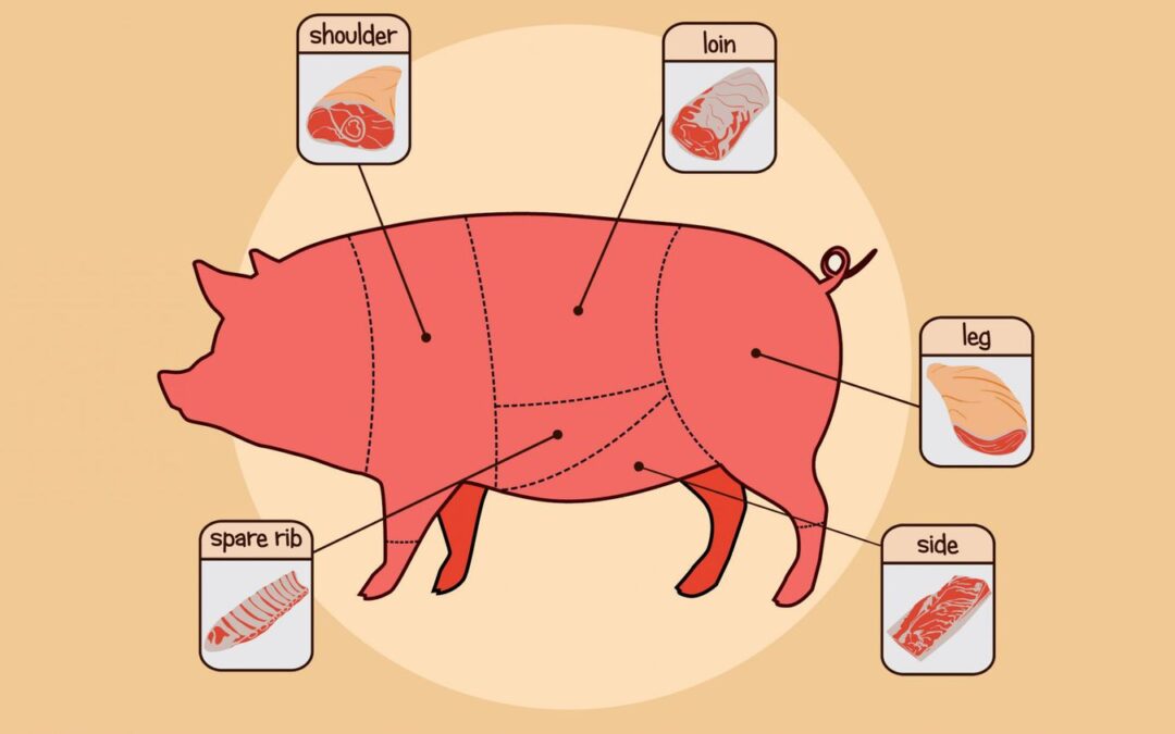 pork cuts
