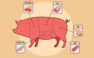 The Complete Guide to Pork: Nutrition, Benefits, Cuts, and How to Choose Premium Quality Meat