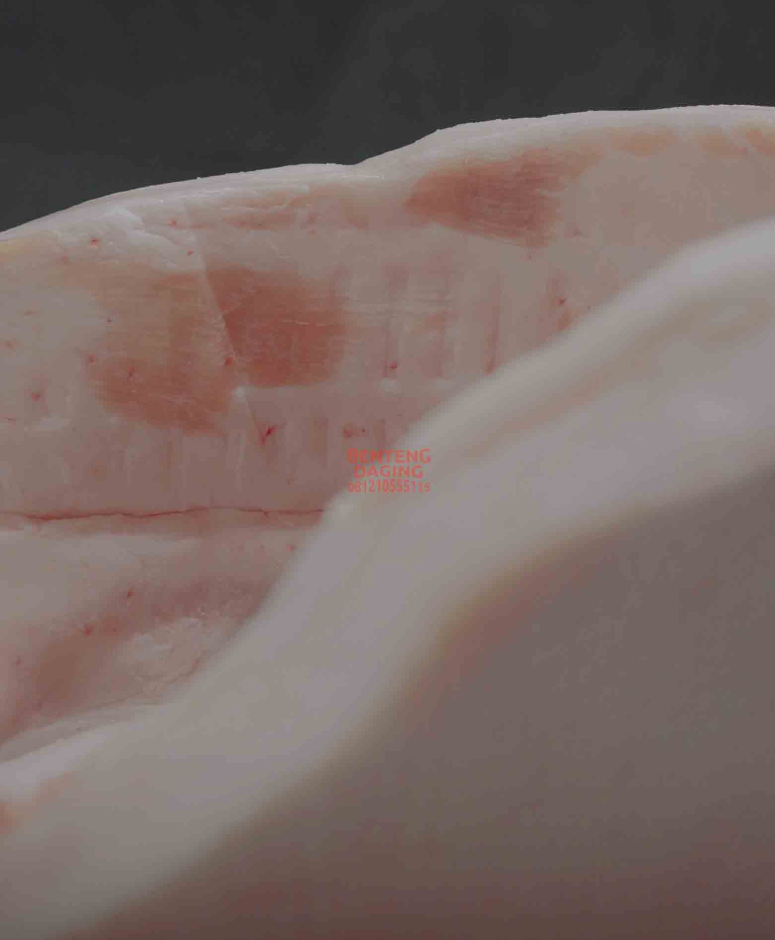 COREN BACK FAT BOX RINDLESS - Image 3