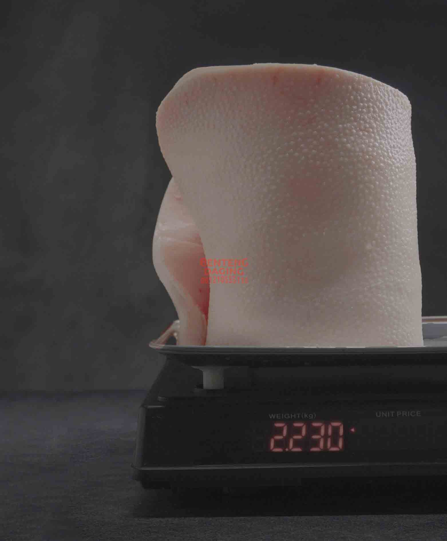 COREN BACK FAT BOX RINDLESS - Image 4