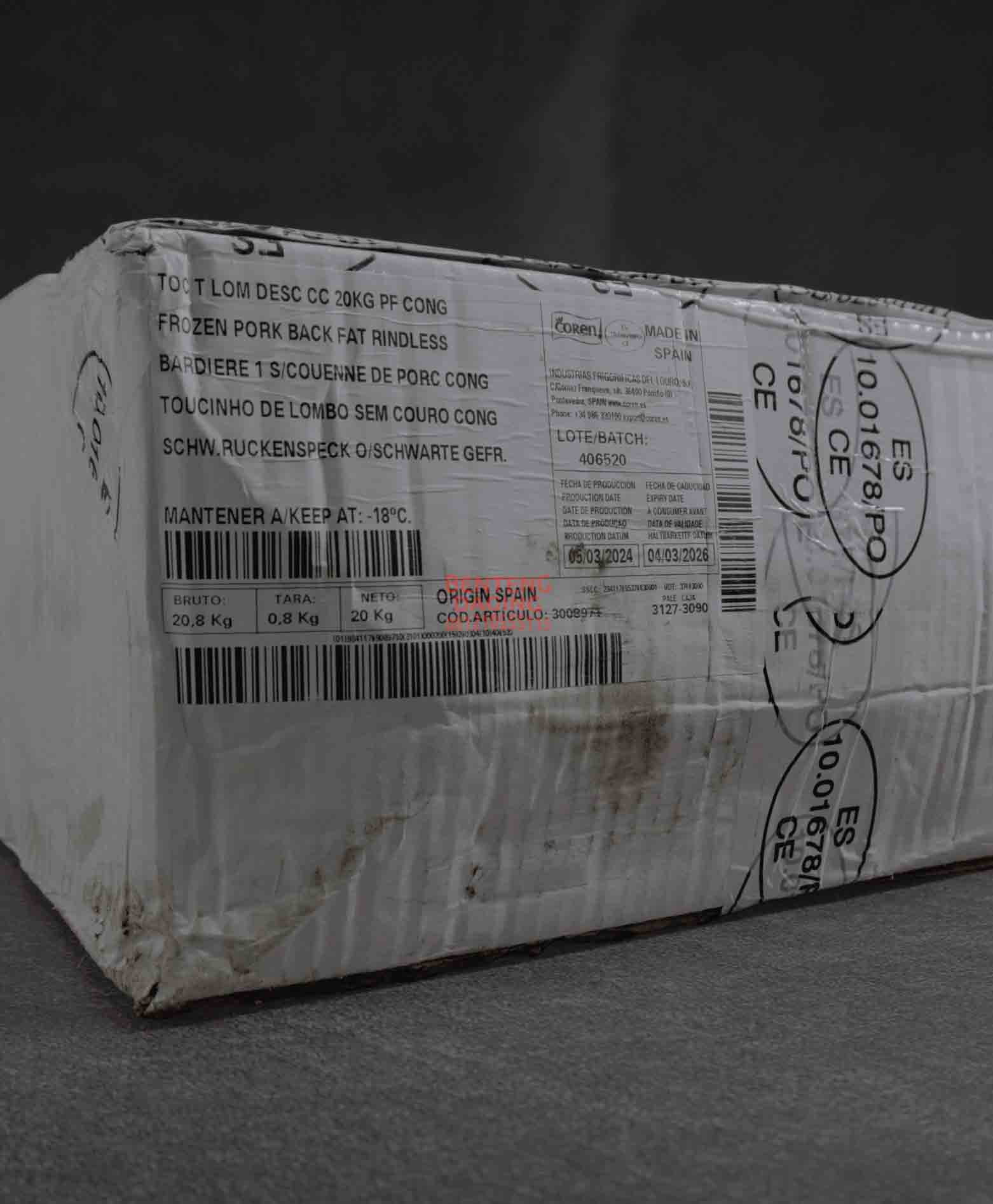 COREN BACK FAT BOX RINDLESS - Image 5